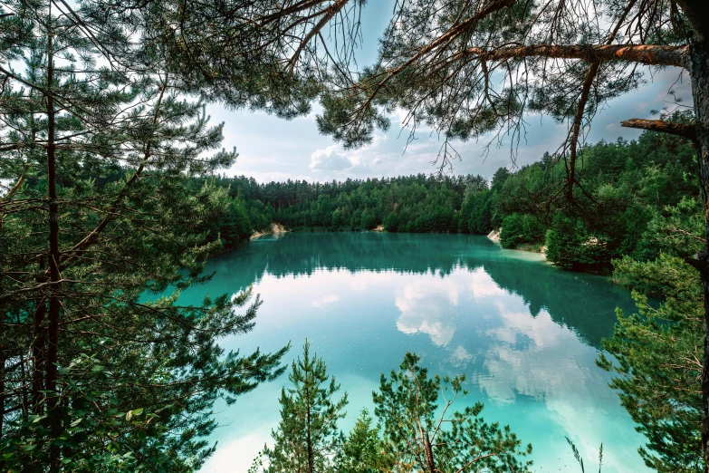 a body of water surrounded by wooded trees