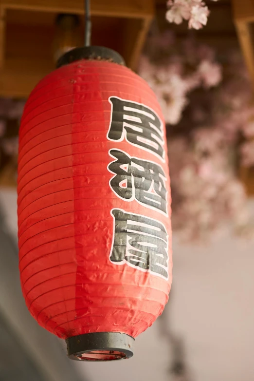 chinese lanterns in a shrine with blossoms