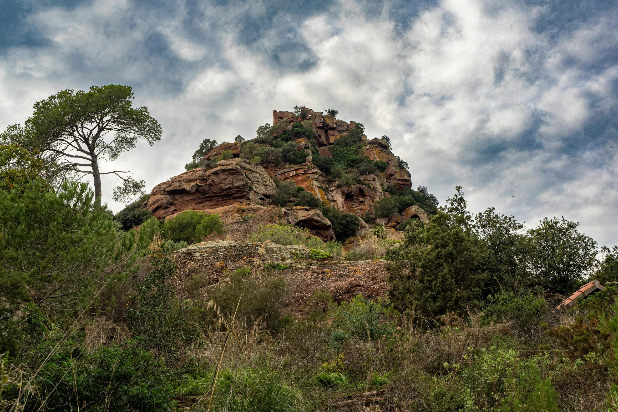 a very large cliff covered in lots of grass and trees