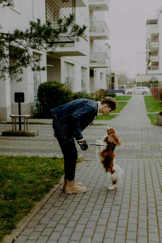 a man plays with a dog on the sidewalk