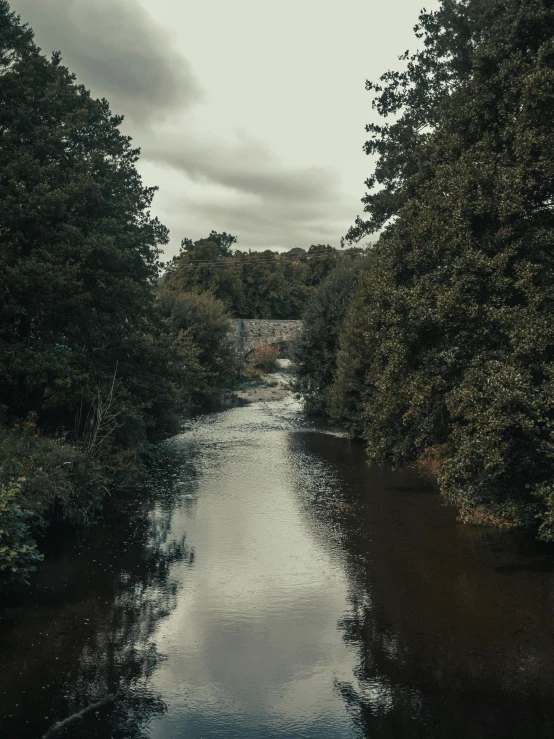 a large river flows through some trees in the wilderness