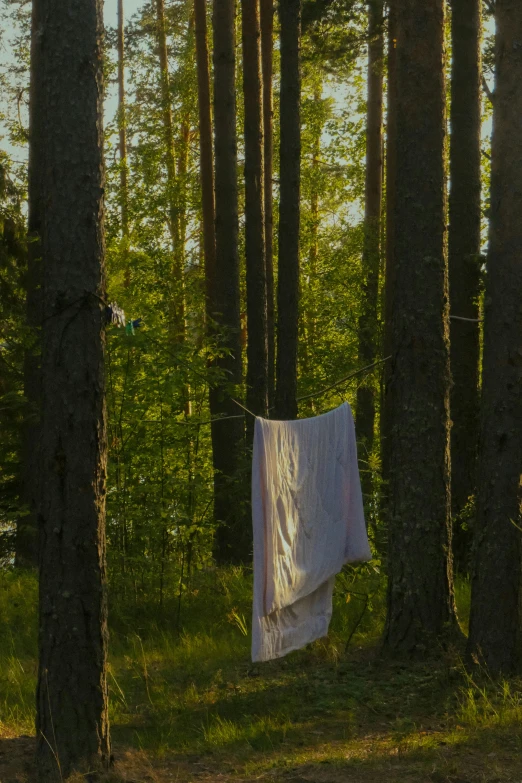 a white towel hanging on a line by the woods