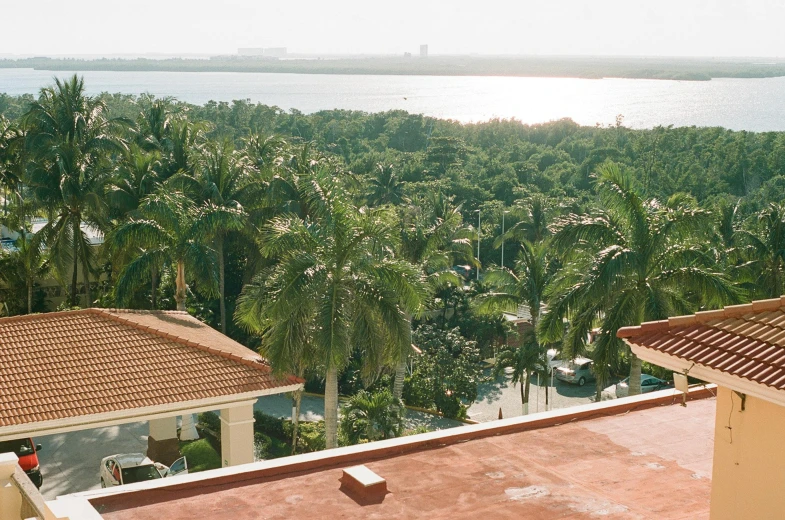 a view from a house overlooking a tropical setting
