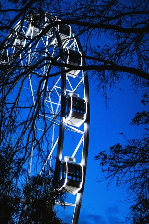 there is a very large ferris wheel with lights on it