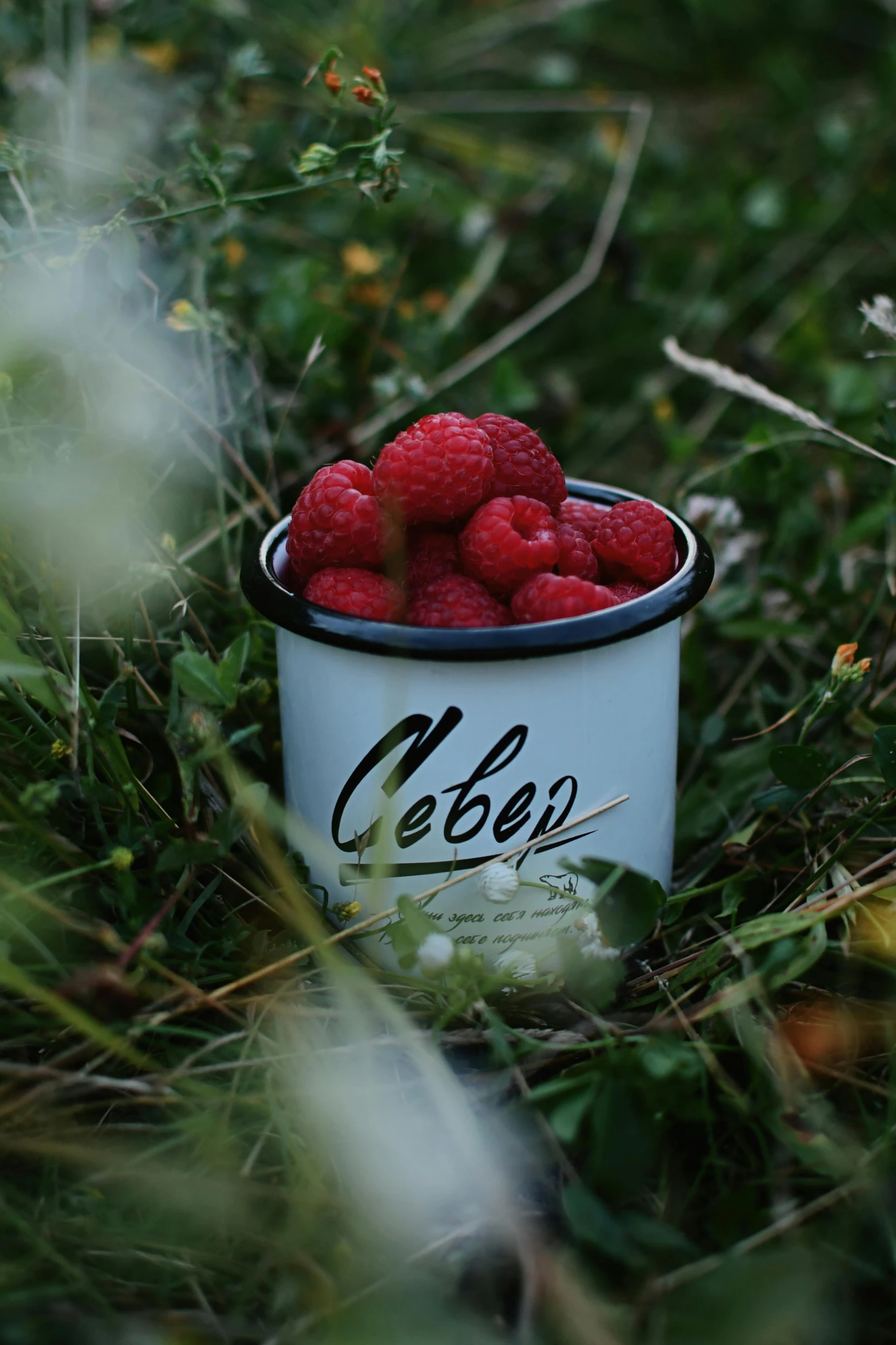 a bucket of raspberries sits in a field