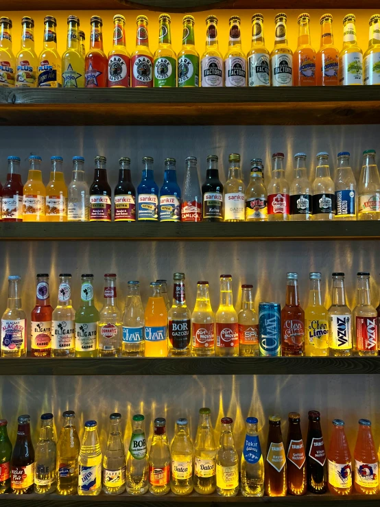 a bunch of bottles lined up on the shelves