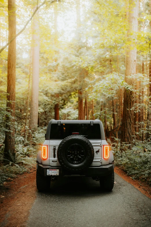 jeep is driving through the forest on a trail