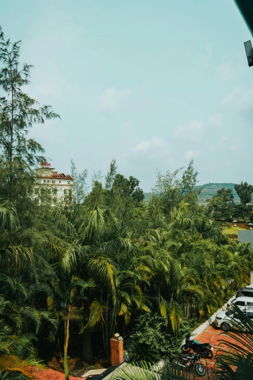 a scenic view of the trees and water