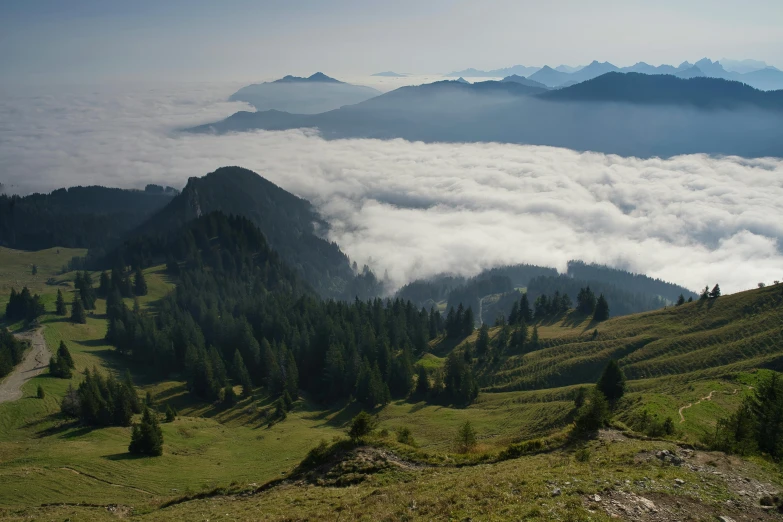 a mountain in the distance with trees and fog below