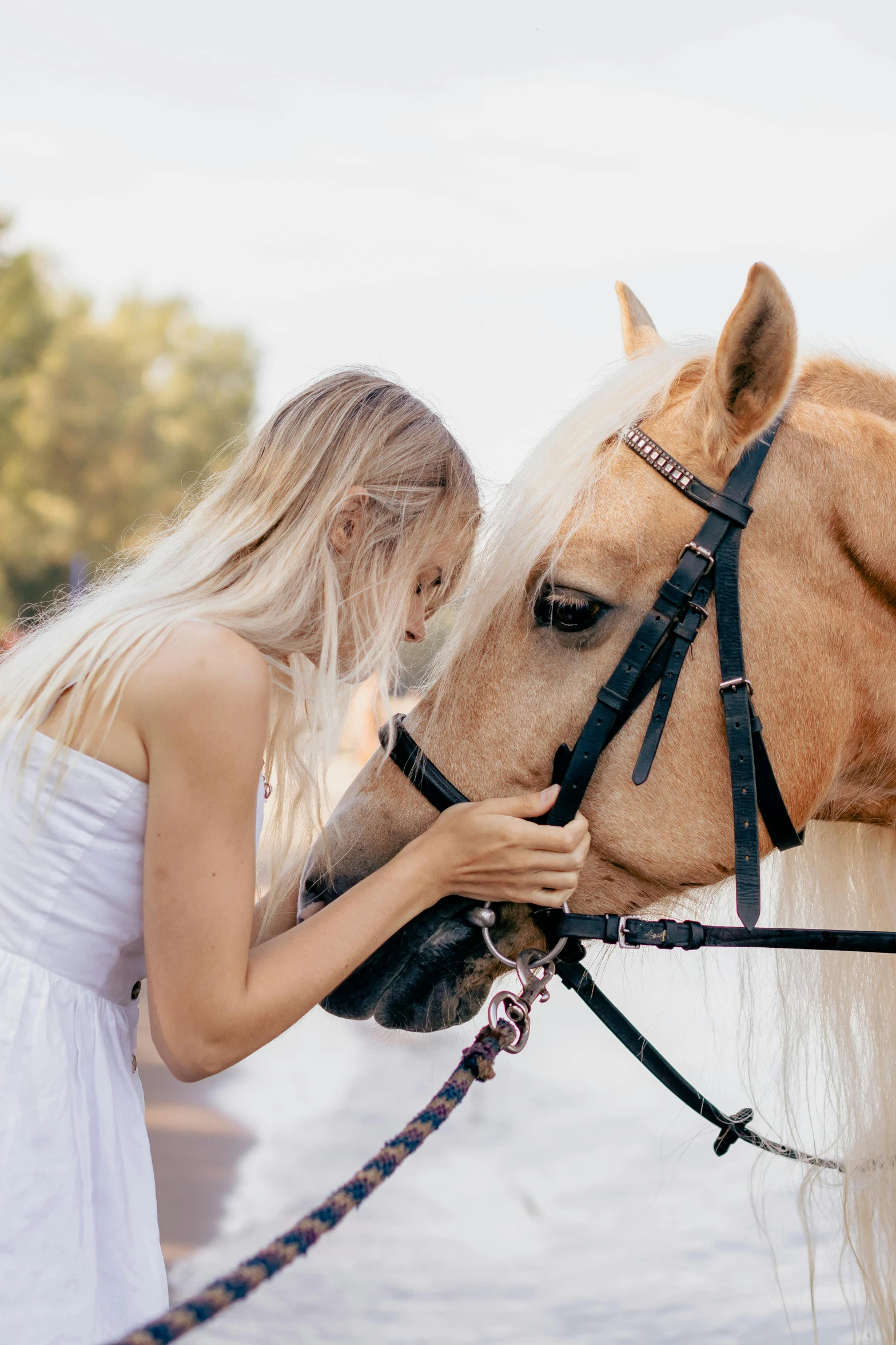 the woman is petting a small horse's head