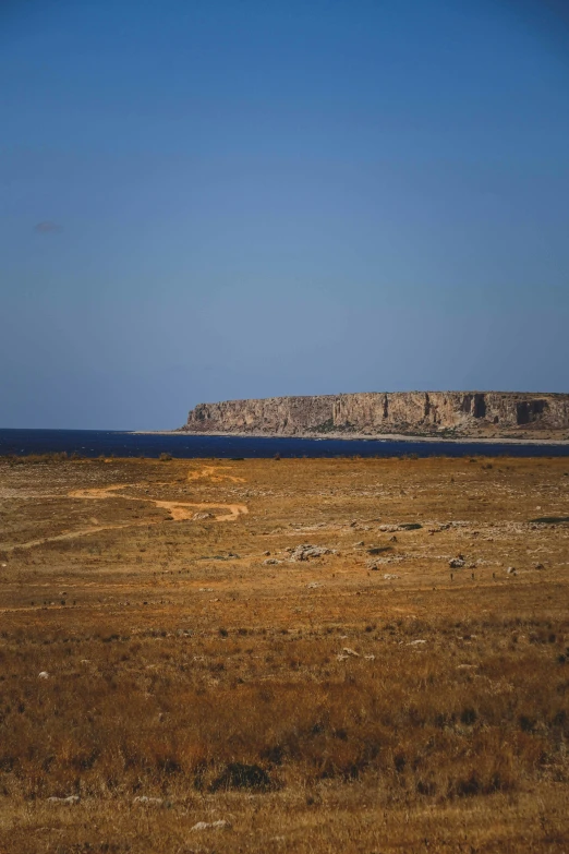 a dry grass field with a large rocky island in the distance