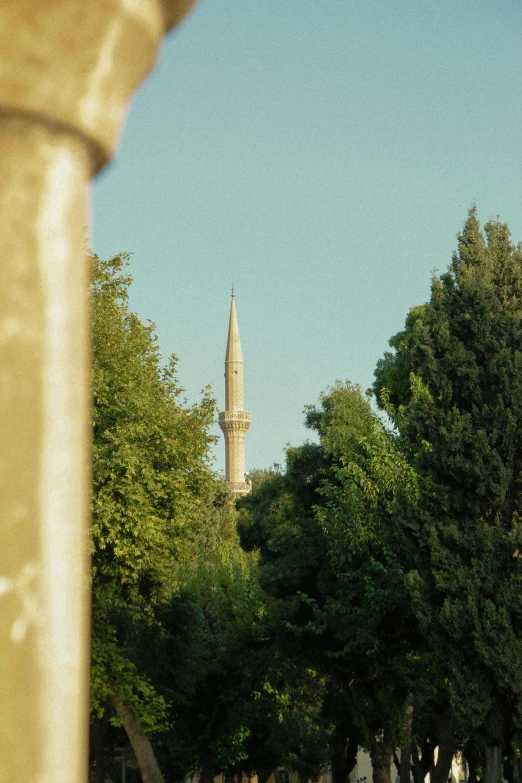 a picture of a church spire behind some trees