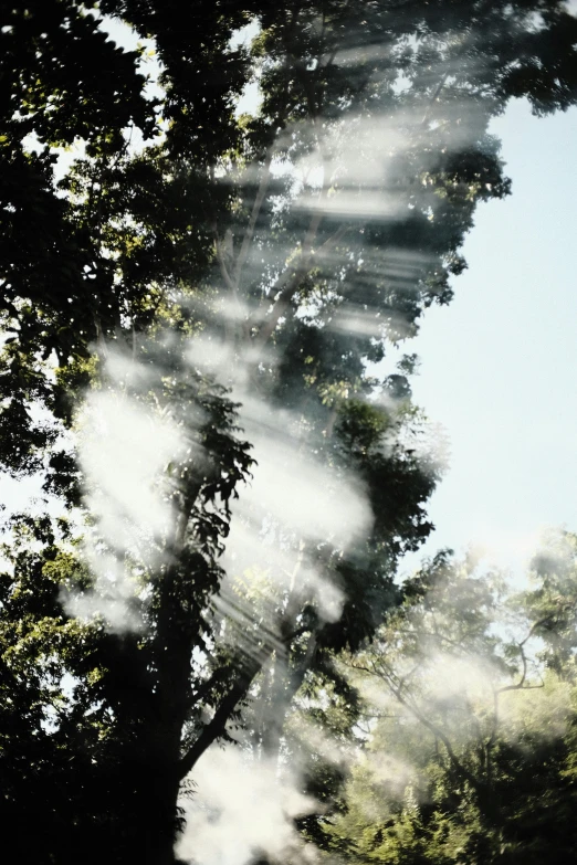 a picture of a building with trees in the foreground