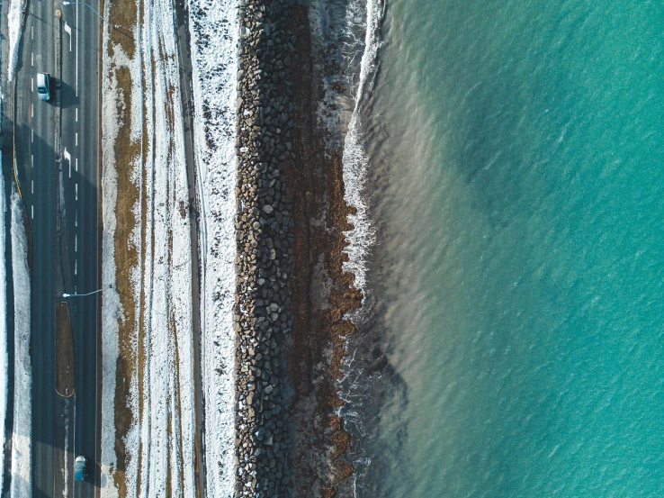 some birds that are on a beach by water