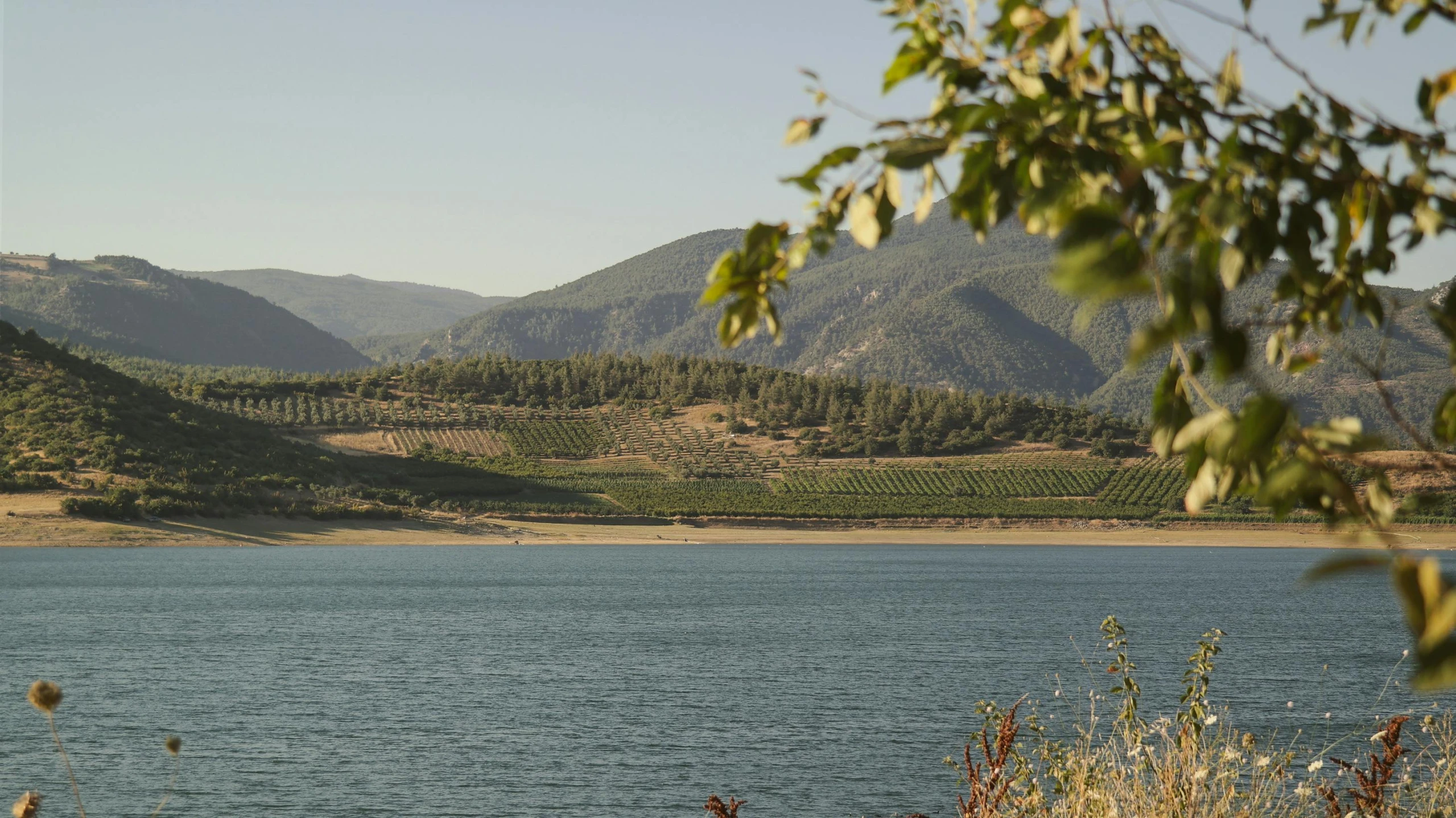 the mountain lake appears to have been clean in the afternoon