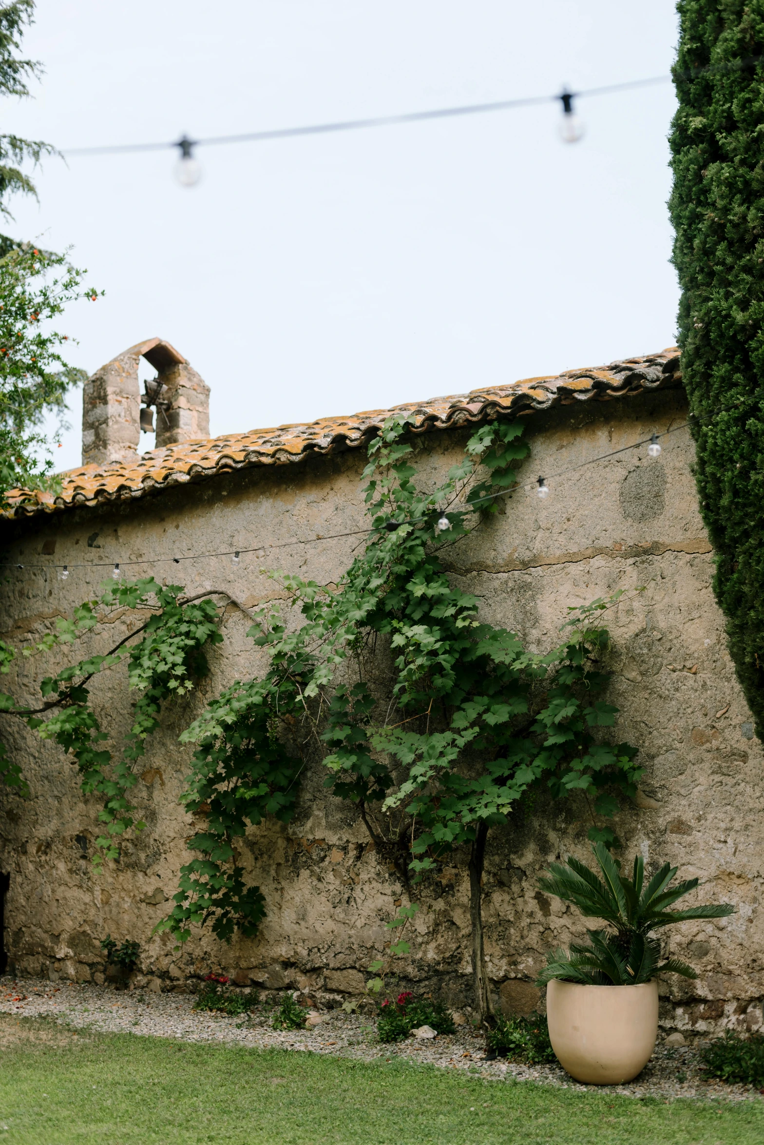 an old house with some ivy growing on it