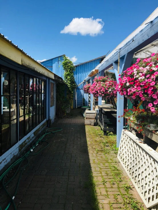 flowers sit in pots on the side of a building