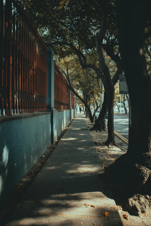 an empty walkway that looks like a forest in a city