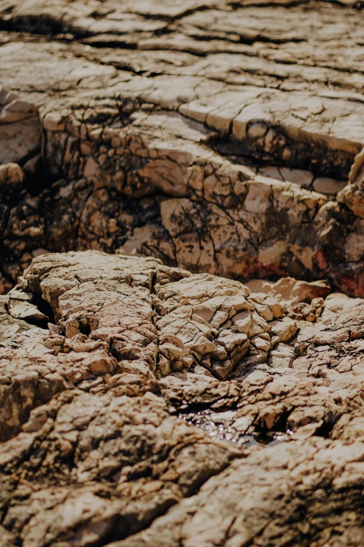 bird perched on edge of rock in natural rock type