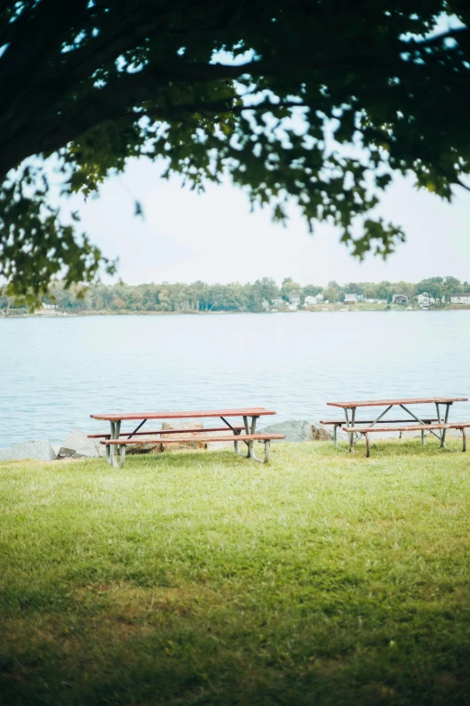 two picnic tables near the water under a tree