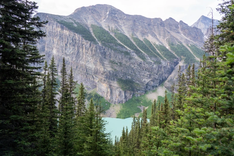 green trees, water and mountain peaks along the trail