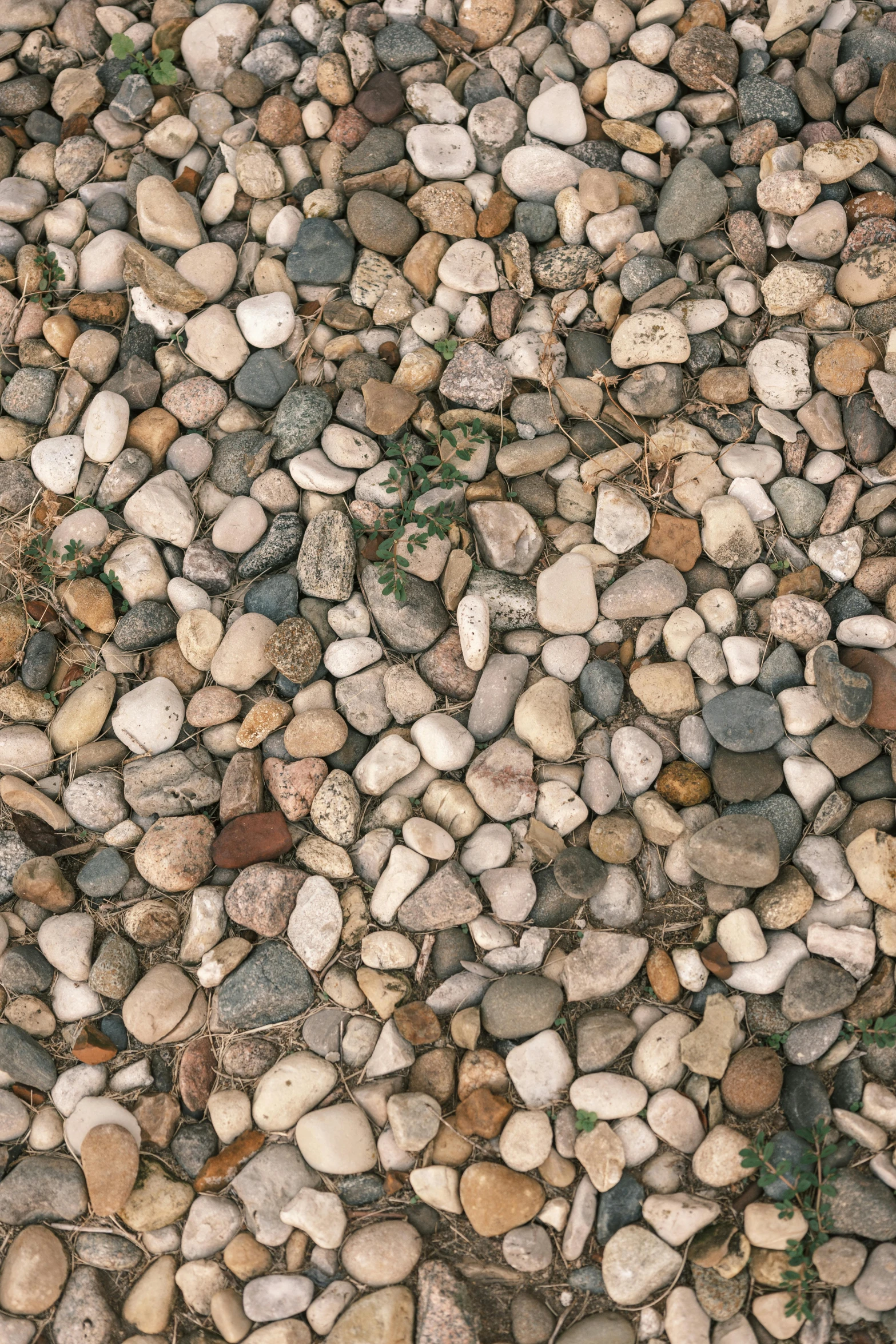 many rocks on a field with an orange fire hydrant in the background