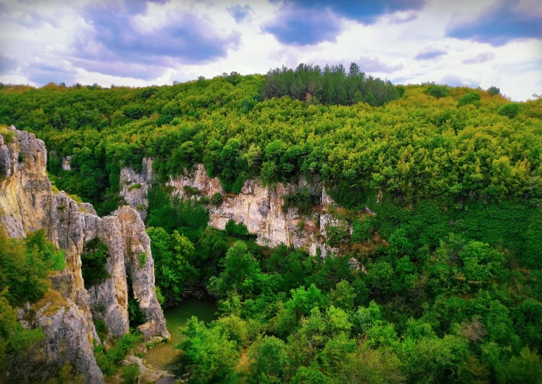 the forest in front of some very large mountains