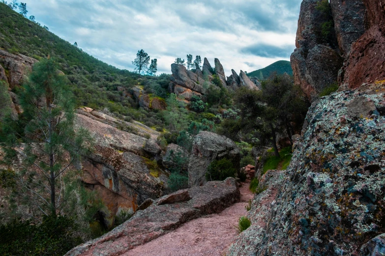 a trail cuts through an expanse of rocky mountains