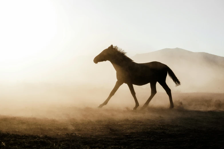 a horse is walking through an empty field