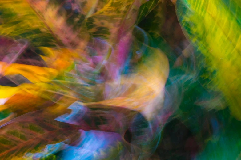 a very abstract picture of colorful leaves