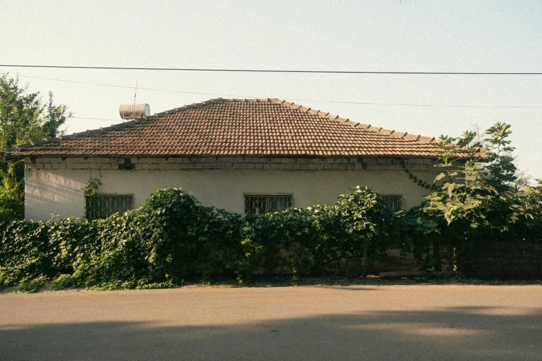 the house is next to a green hedge and some trees