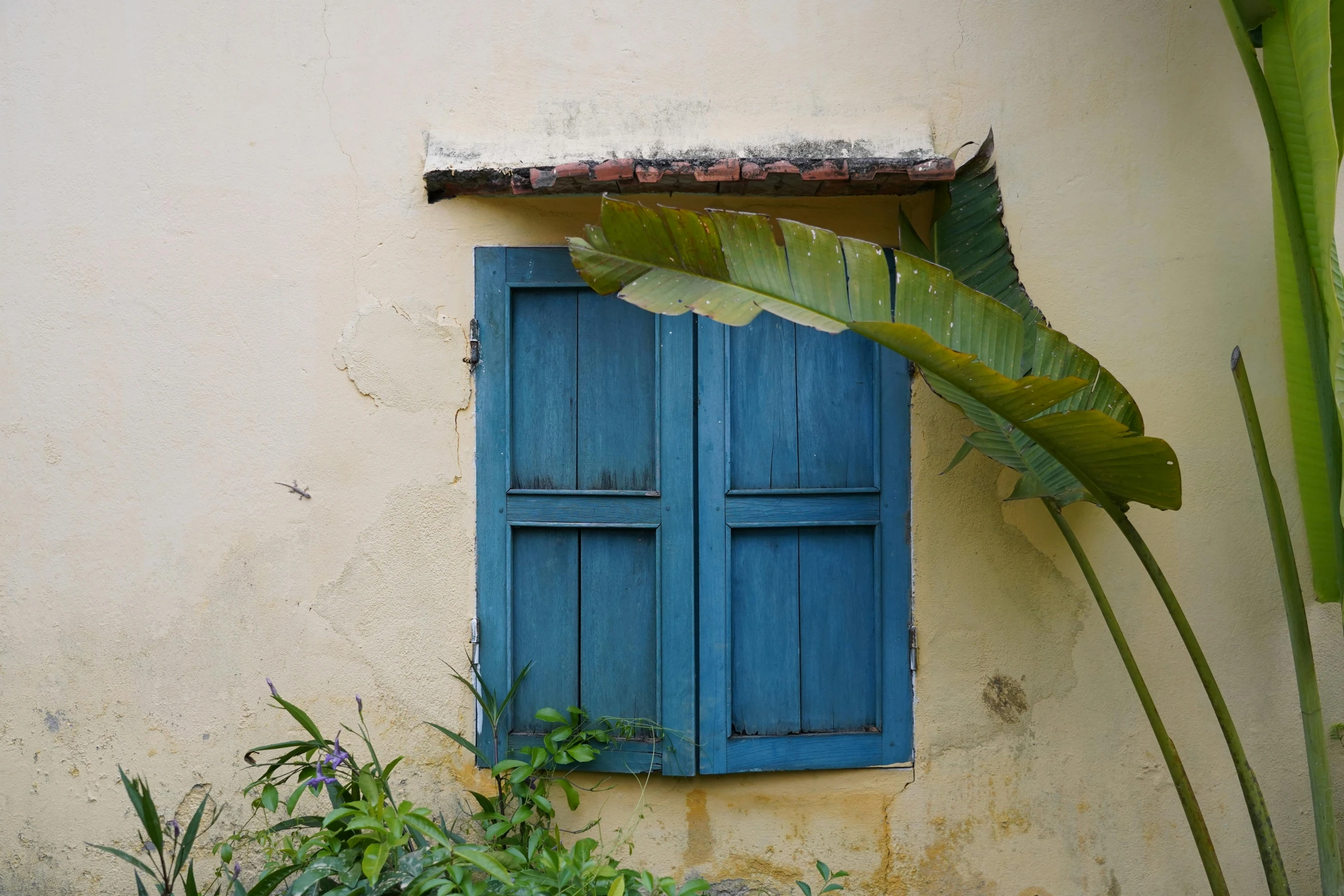 a blue shuttered window on the side of a beige building