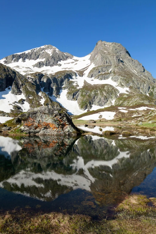 two mountains with snow and green plants next to water