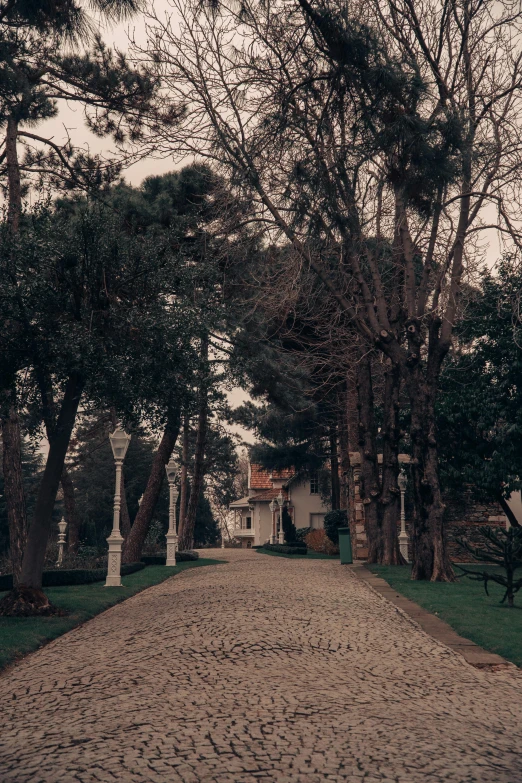 a road that has benches and trees lining the sides