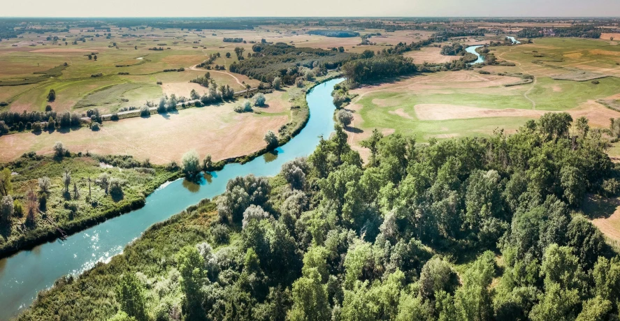 a river surrounded by grass and trees