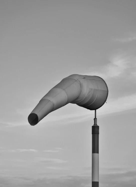 a big kite is sitting on top of the pole