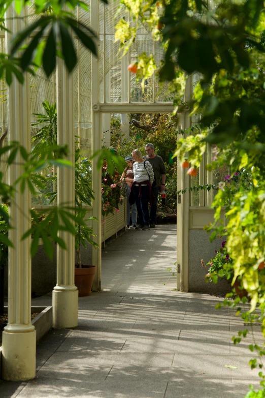 an old couple walking down the aisle of a garden