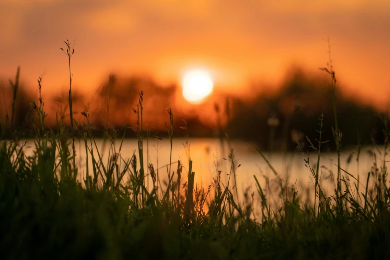 the sun is setting over the water behind a field