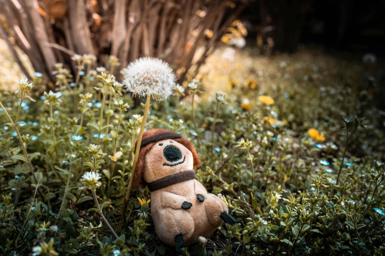 a small teddy bear wearing a hat standing in a field