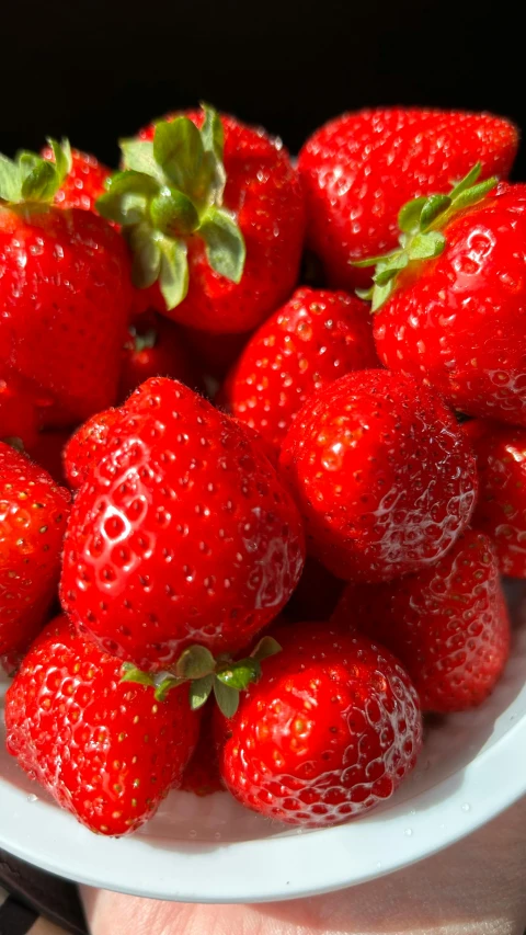 strawberries are in the bowl being held