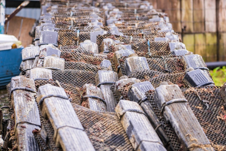 old fishing nets covered in seaweed sit in front of other structures