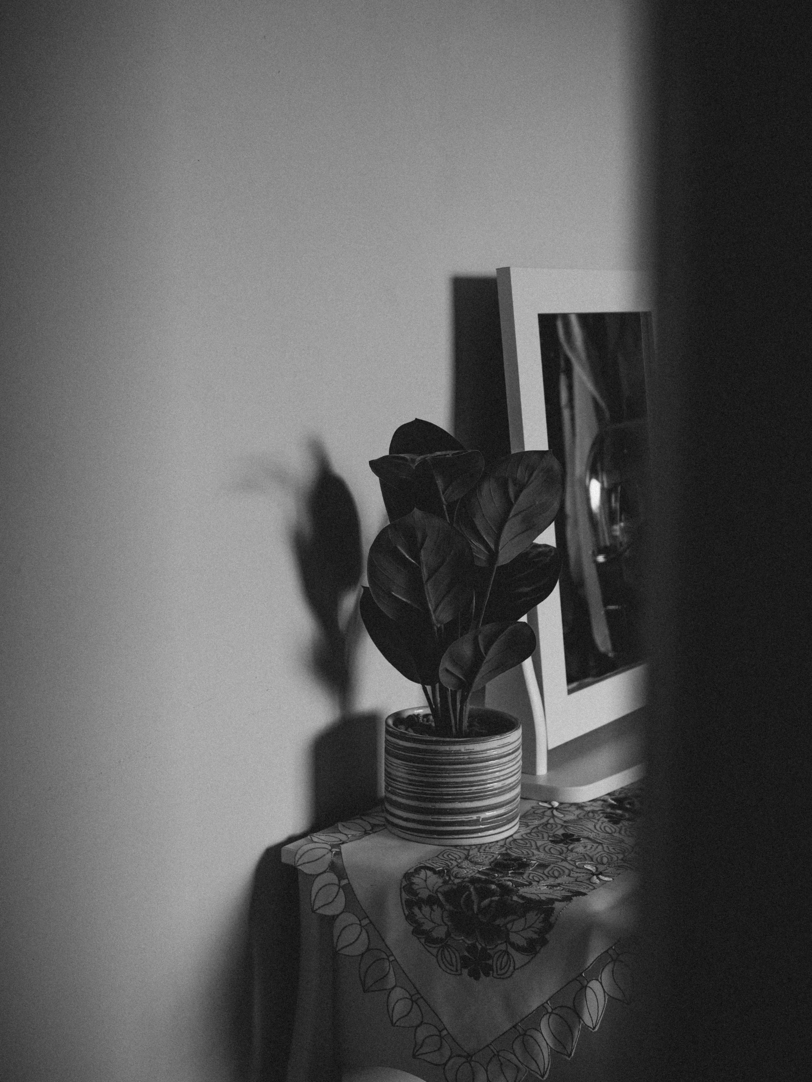 black and white po of a flower on a table