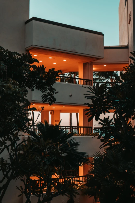 a couple of trees that are outside of a building