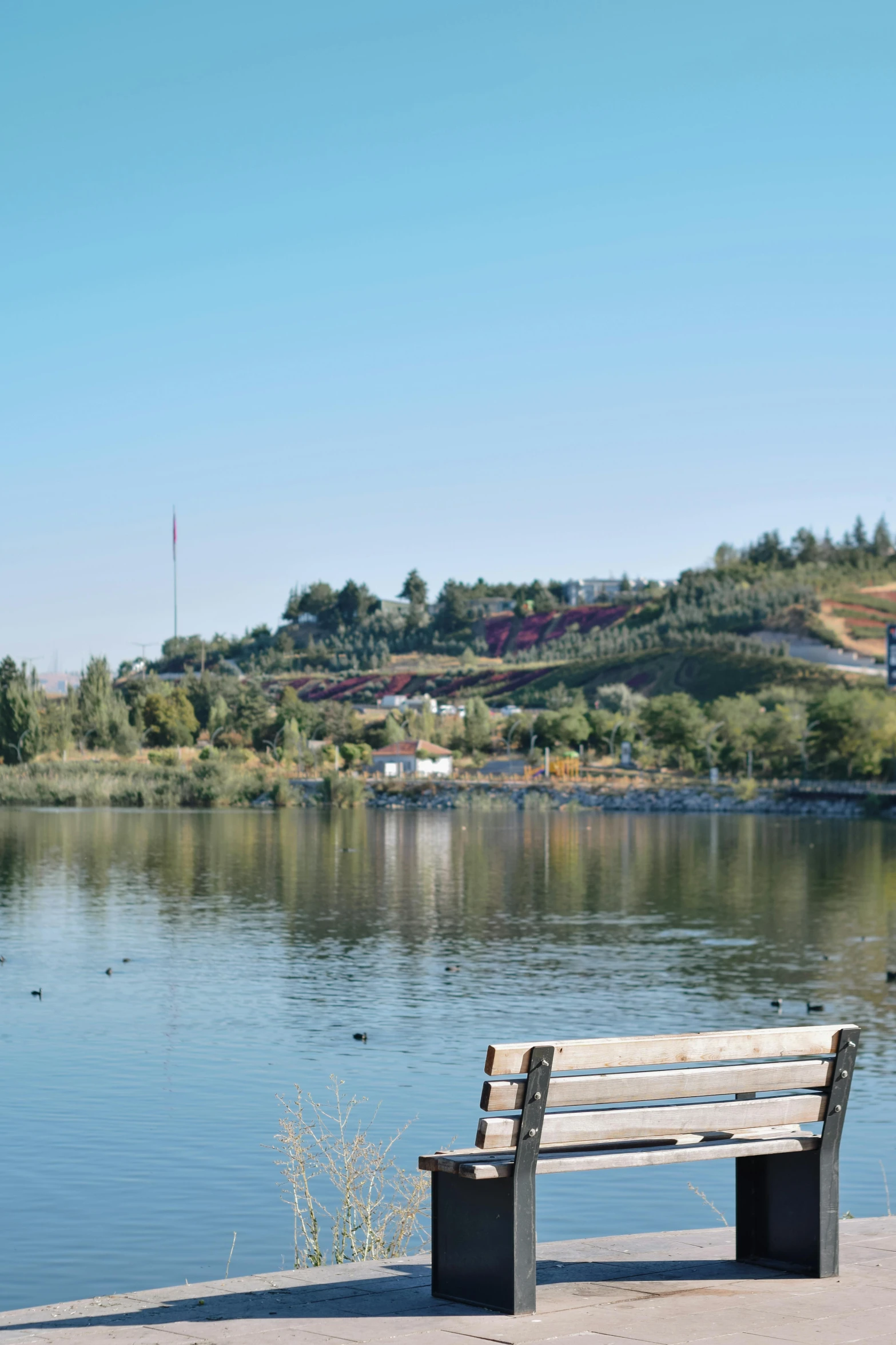 there is a bench near a body of water