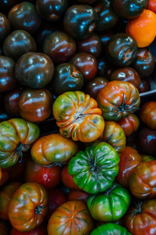 many types of fresh vegetables are available for purchase