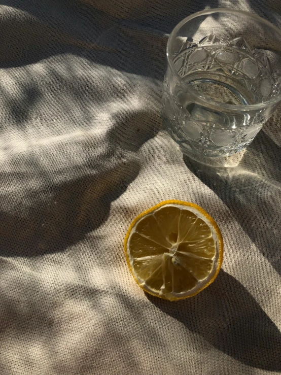 a sliced up lemon sits next to an old glass