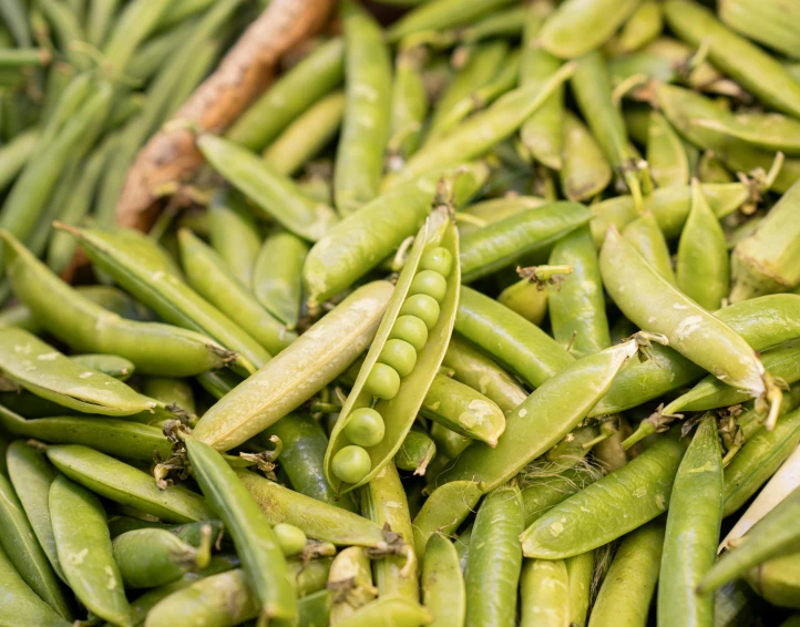 a closeup po of some green beans