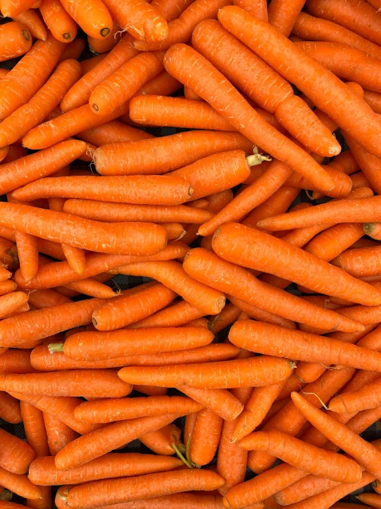 many bright orange carrots piled high together