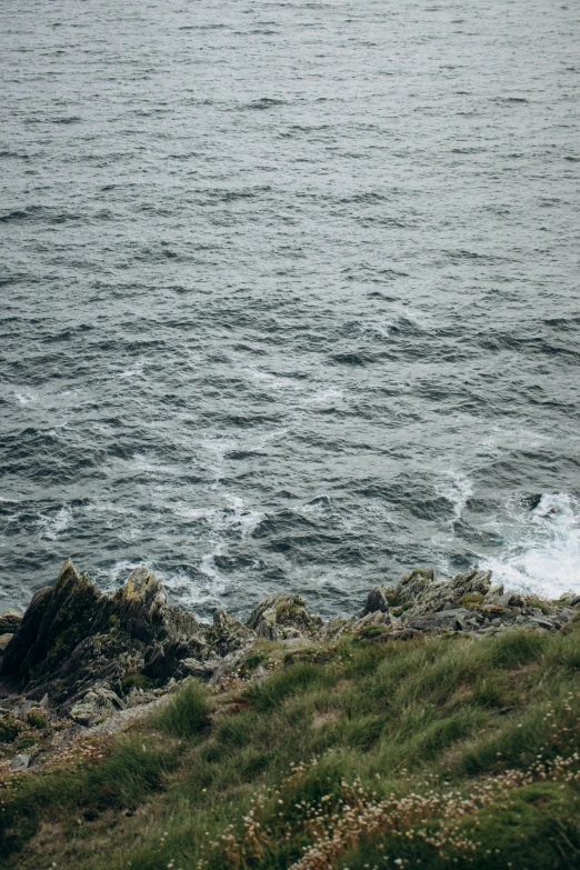 a lone sheep stands on top of a hill overlooking the ocean