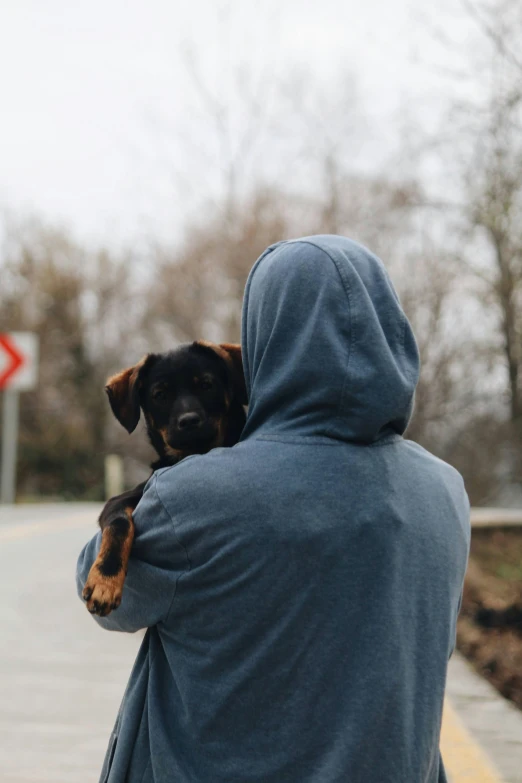 a person holding a dog on the side of a street